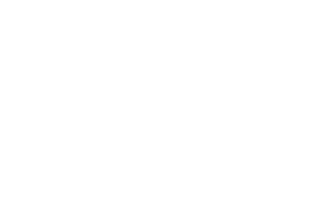 IRT